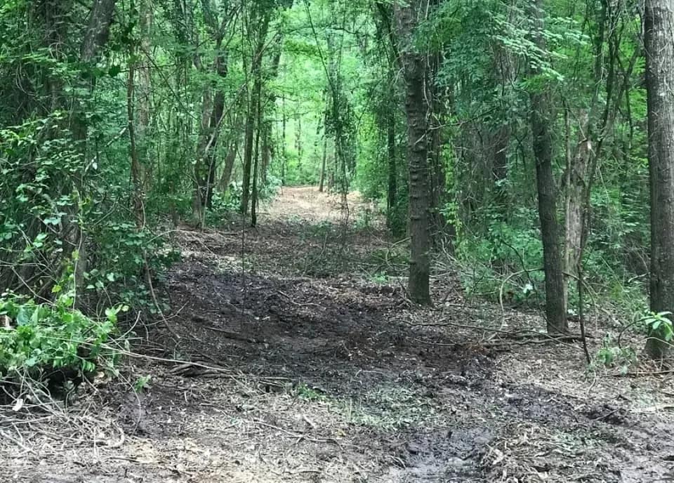 65.13 acre hunting land in Red River County, Texas