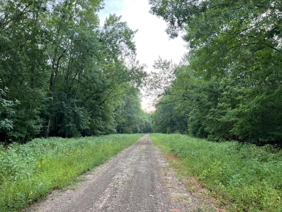 65 acre hunting land in Red River County, Texas