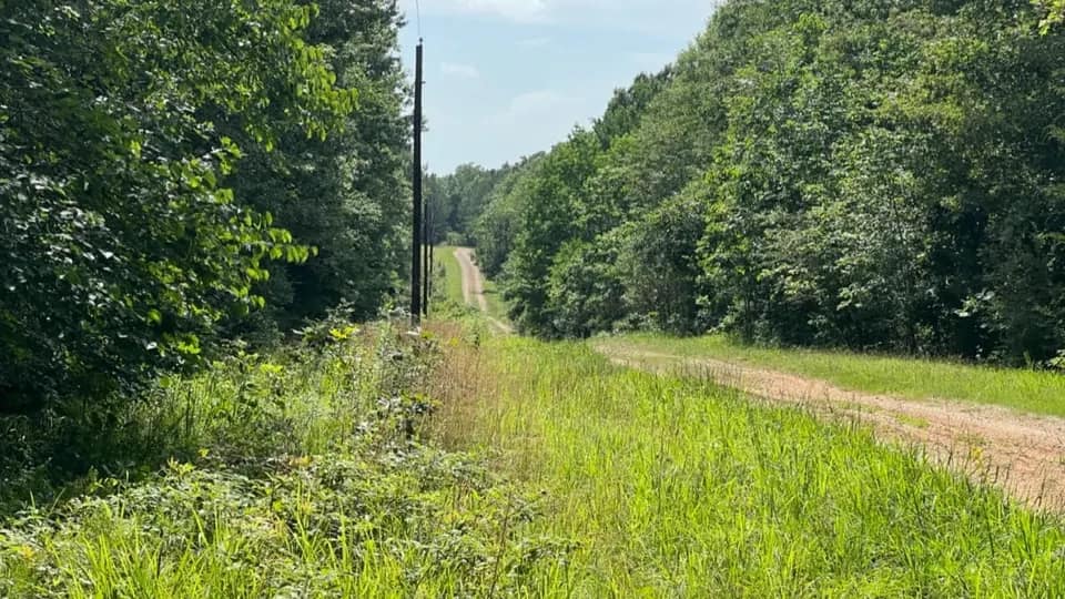 65 acre hunting land in Red River County, Texas
