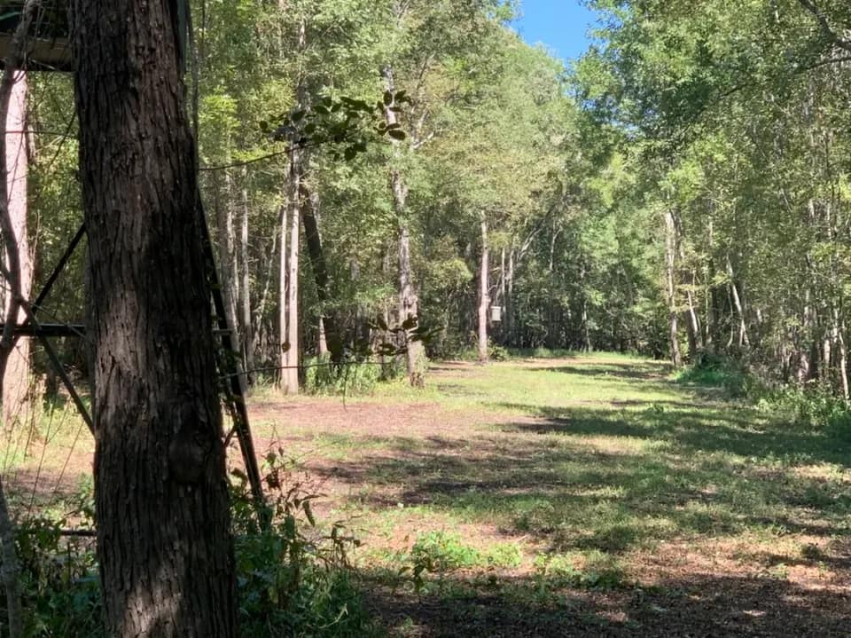 65 acre hunting land in Red River County, Texas