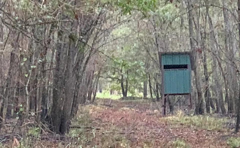 65 acre hunting land in Red River County, Texas