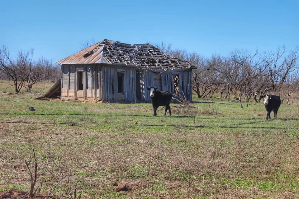 66 acre timberland in Foard County, Texas