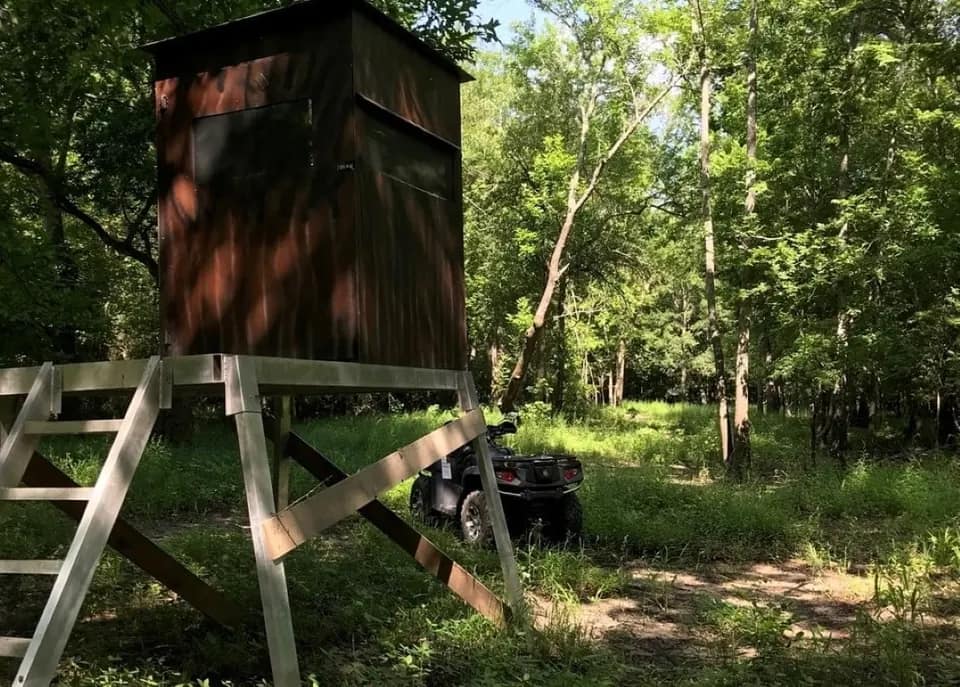 66.56 acre ranch in Red River County, Texas