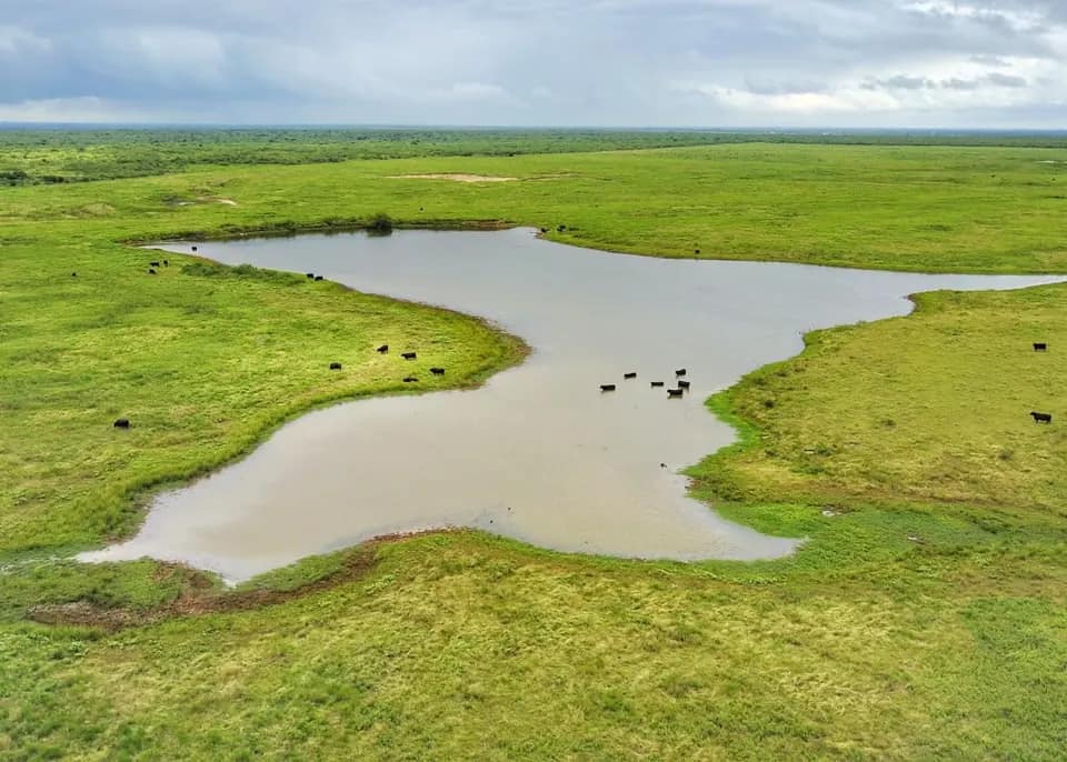 687 acre hunting land in Clay County, Texas