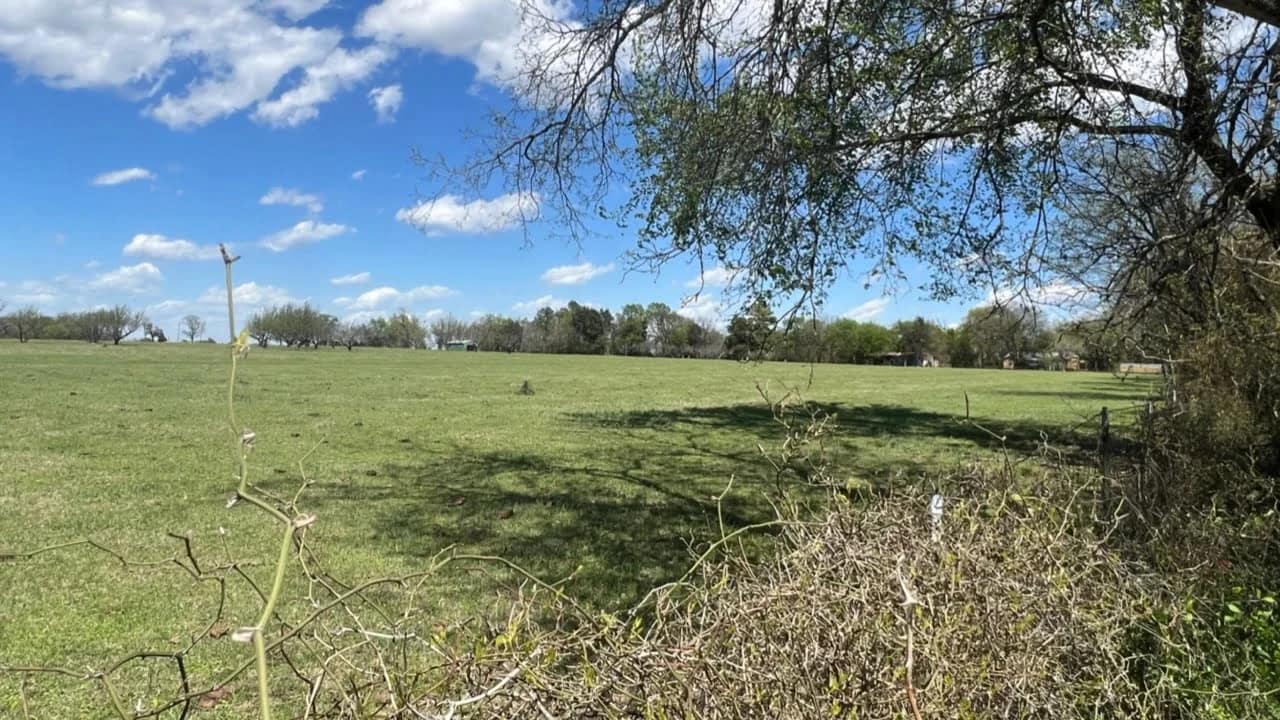 Rains County Texas land with rolling pasture