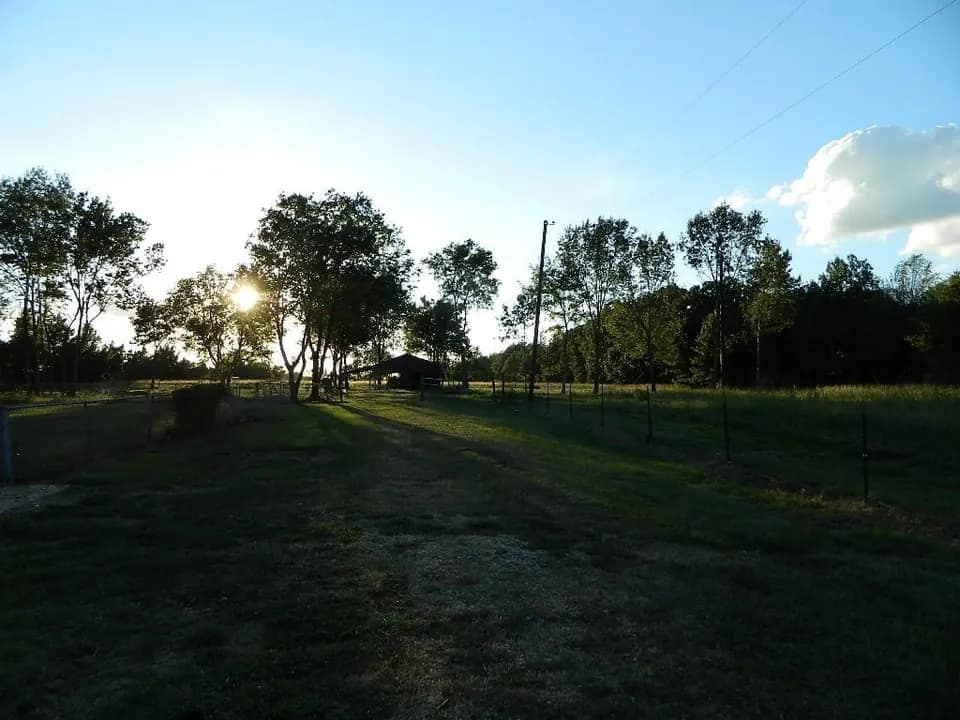 7.75 acre ranch in Red River County, Texas