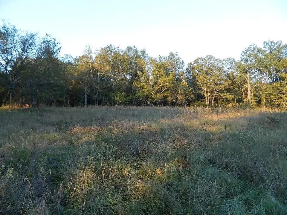 70.58 acre ranch in Red River County, Texas