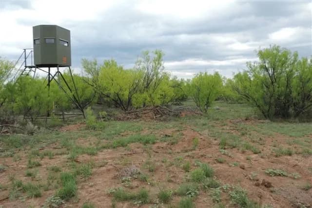 710 acre farm in Foard County, Texas