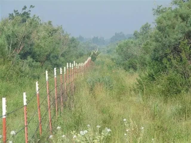 75 acre hunting land in Wilbarger County, Texas