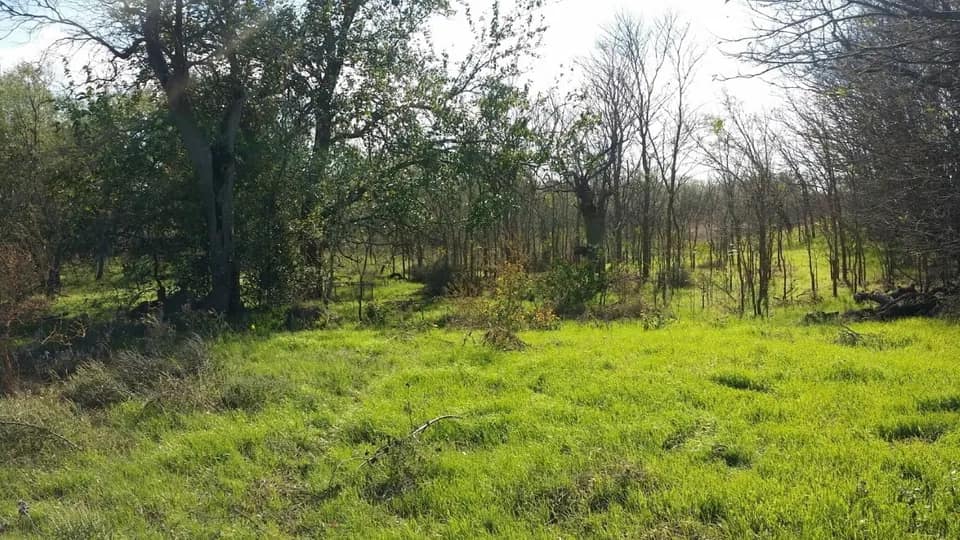 79 acre hunting land in Haskell County, Texas