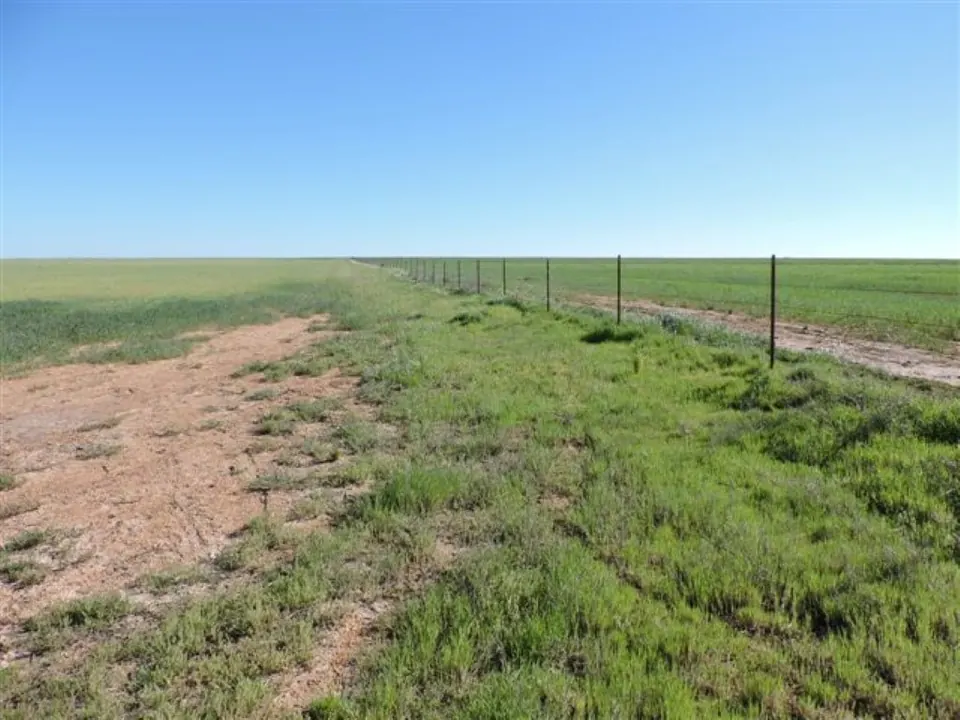 80 acre farm in Wilbarger County, Texas