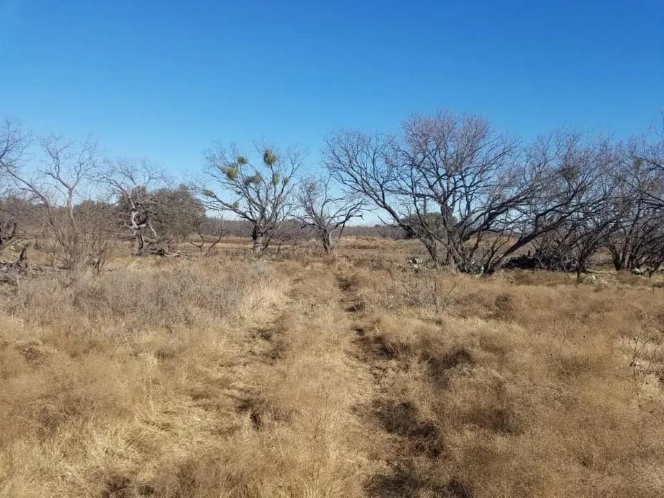 80 acre ranch in Young County, Texas
