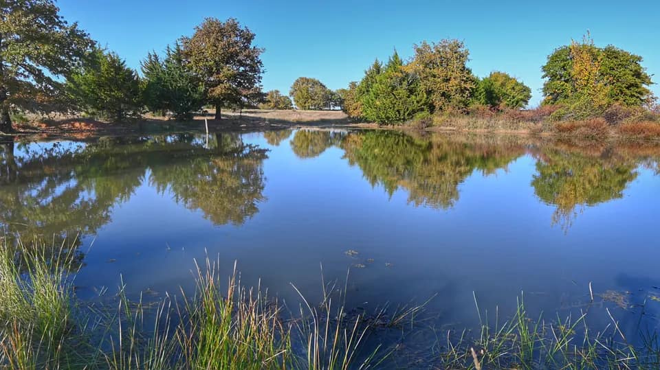 82 acre ranch in Montague County, Texas