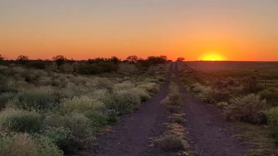 849 acre farm in Hardeman County, Texas