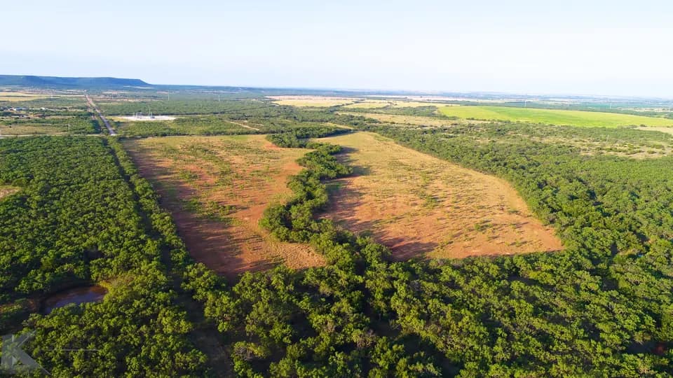 85 acre hunting land in Taylor County, Texas
