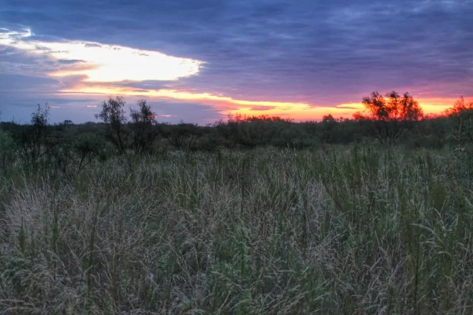 861 acre timberland in King County, Texas