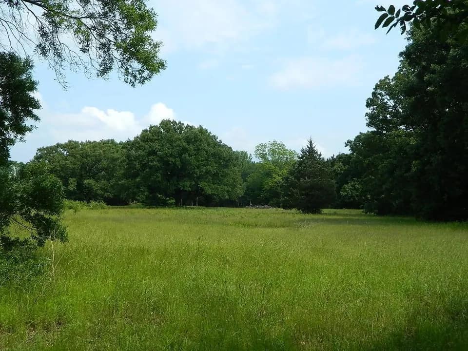 8.76 acre hunting land in Titus County, Texas