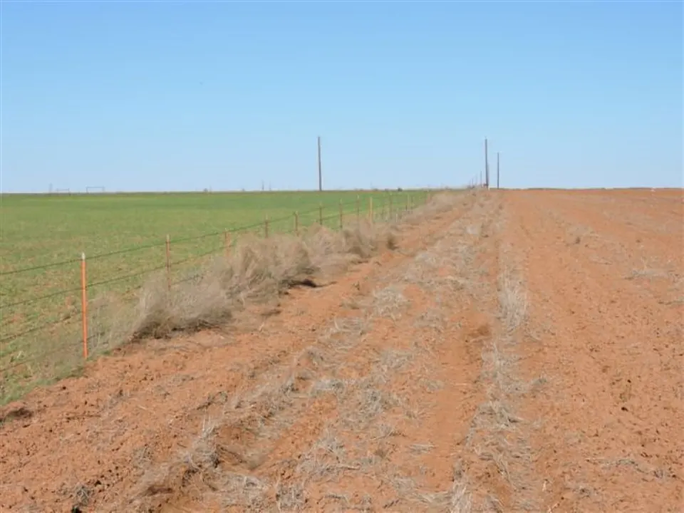 96 acre farm in Wilbarger County, Texas