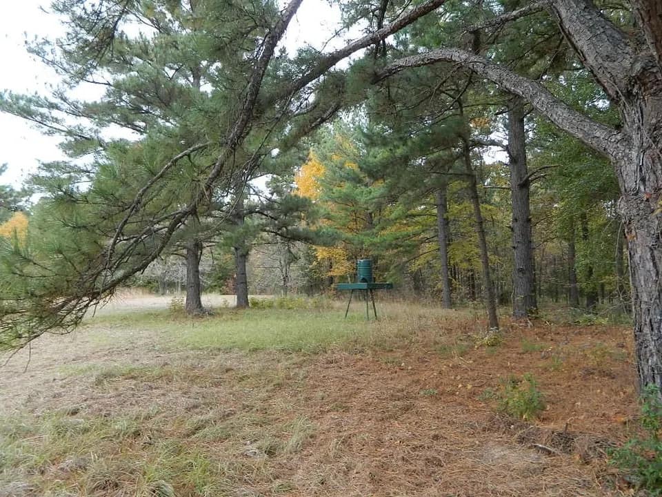 97 acre hunting land in Smith County, Texas
