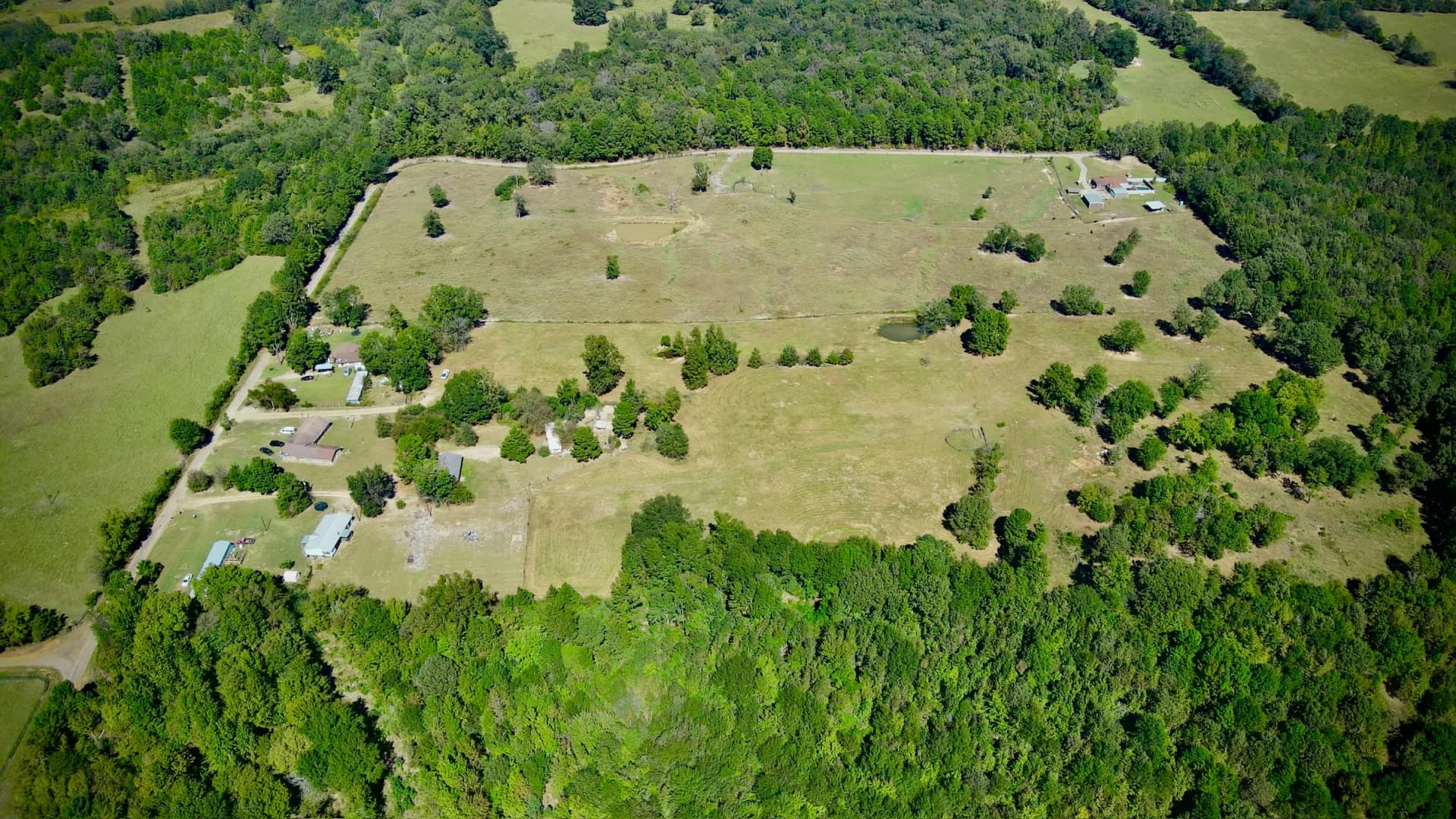 Camp County Texas land with pine and hardwood timber