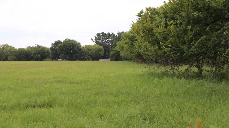 2.05 acre undeveloped land in Rains County, Texas