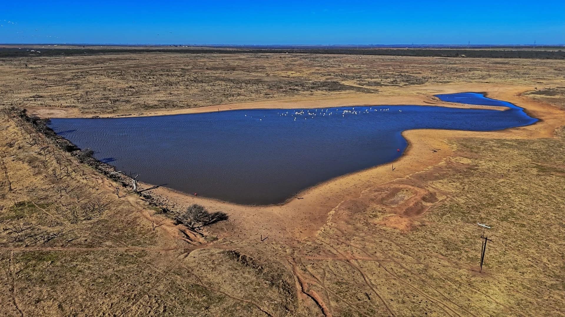 Gray County Texas land with shortgrass pasture