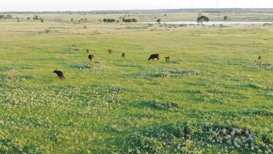 2,401 acre ranch in Archer County, Texas
