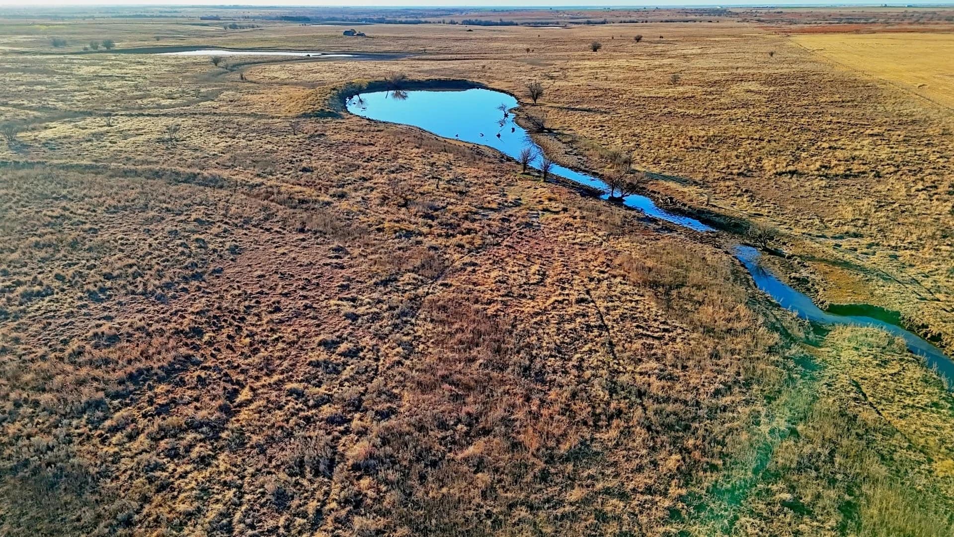 Collin County Texas land with improved pasture