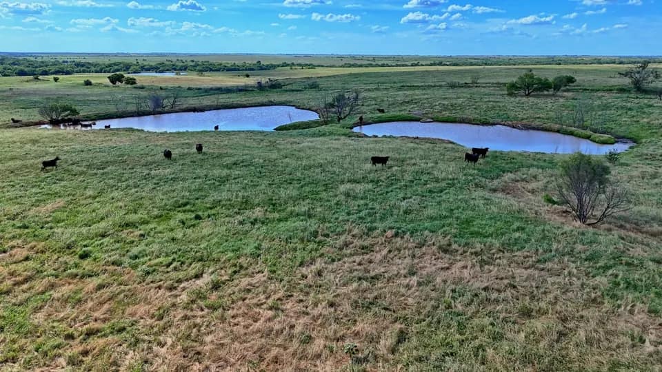 477 acre farm in Clay County, Texas