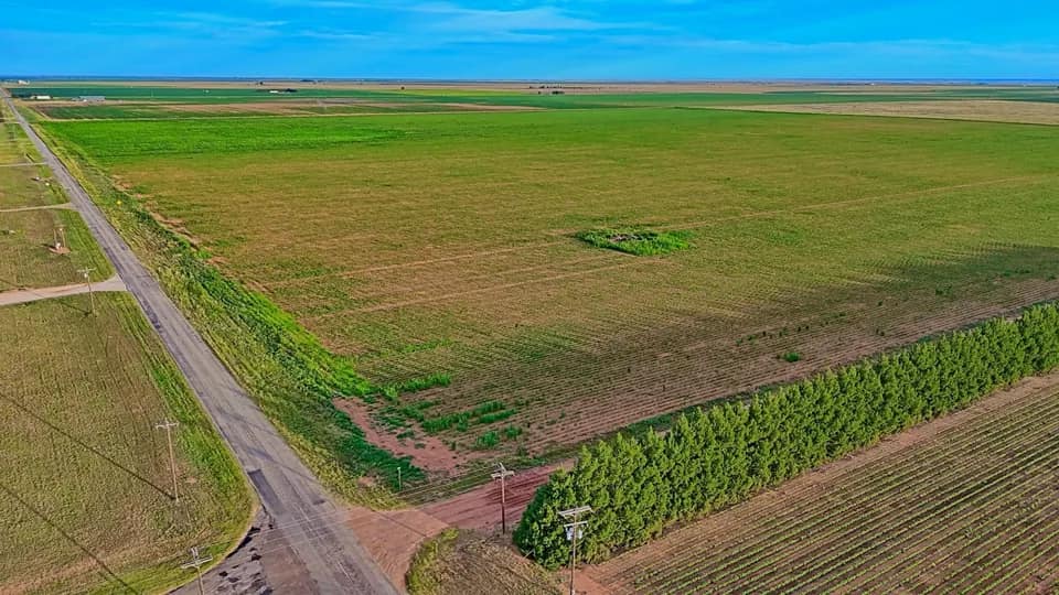 516.7 acre farm in Hockley County, Texas