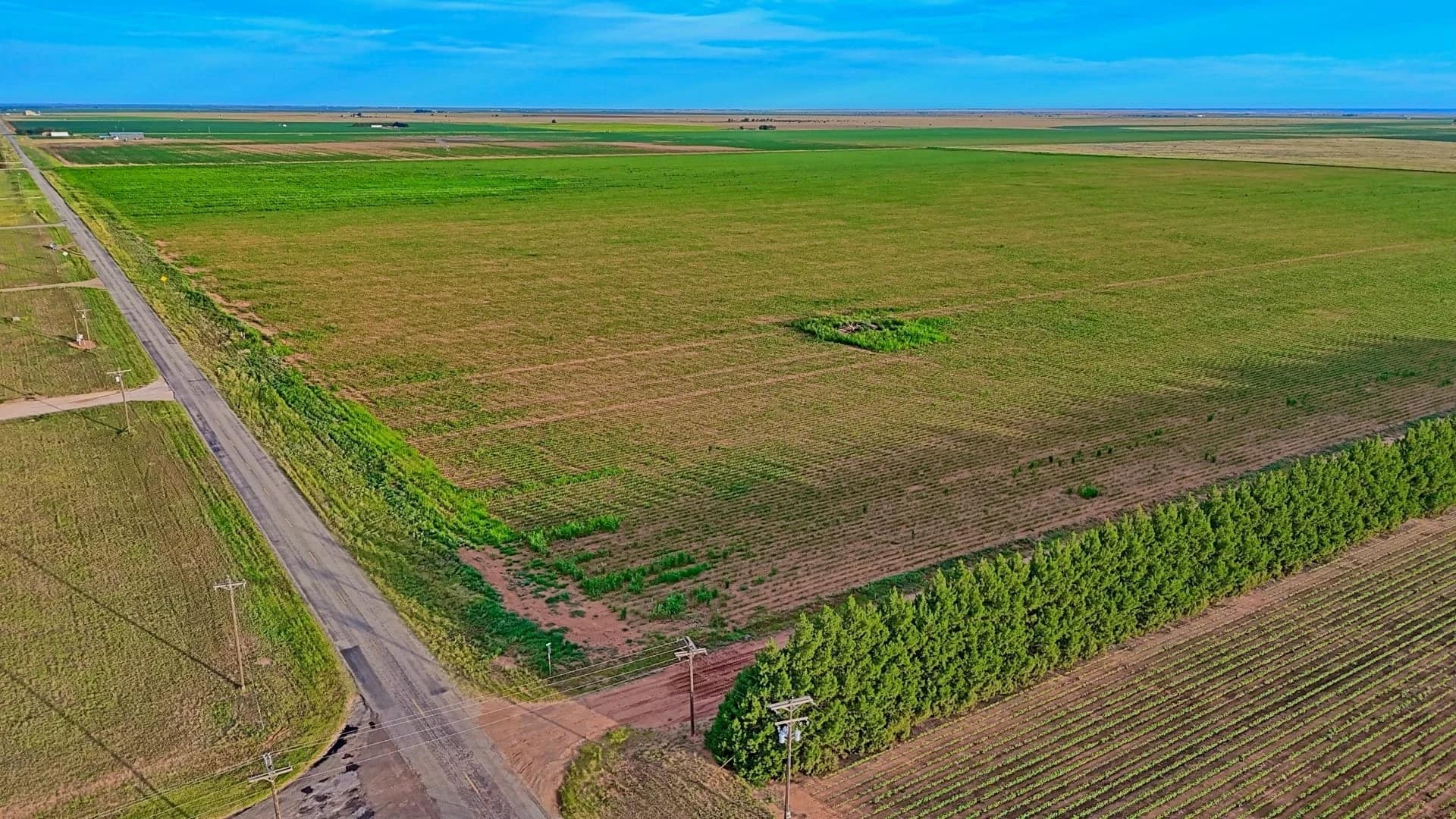 Hockley County Texas land with cultivated fields