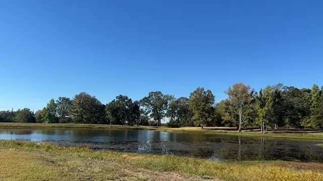 55 acre recreational land in Titus County, Texas