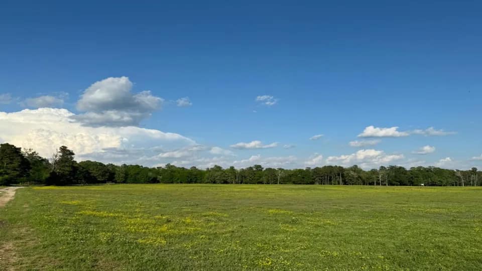 66.57 acre ranch in Red River County, Texas