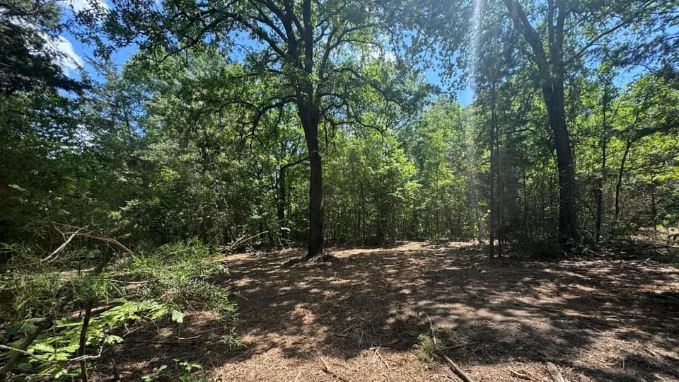 7.62 acre undeveloped land in Cass County, Texas