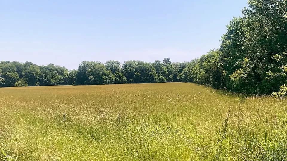 12.58 acre ranch in Red River County, Texas