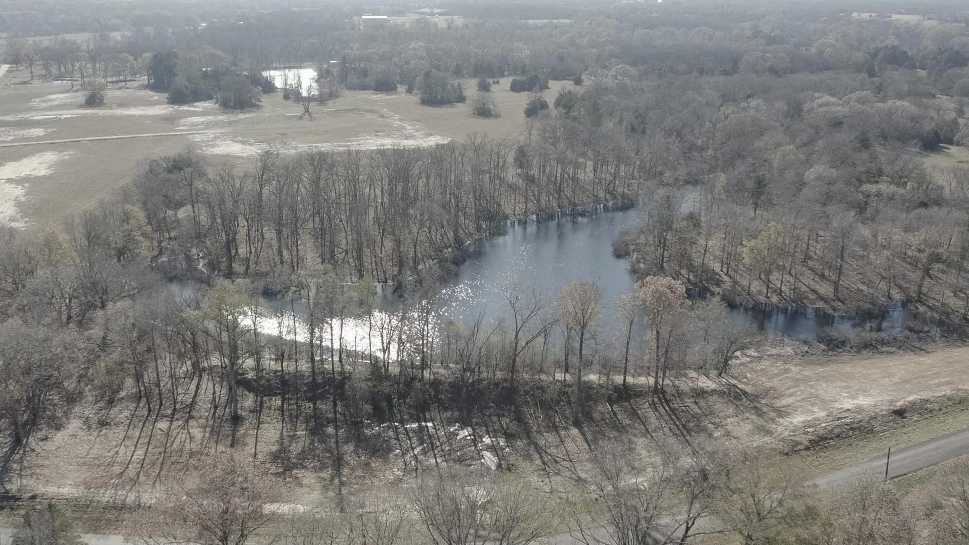 East Texas timberland with pine woods, hardwood bottoms, creeks, and hunting cover