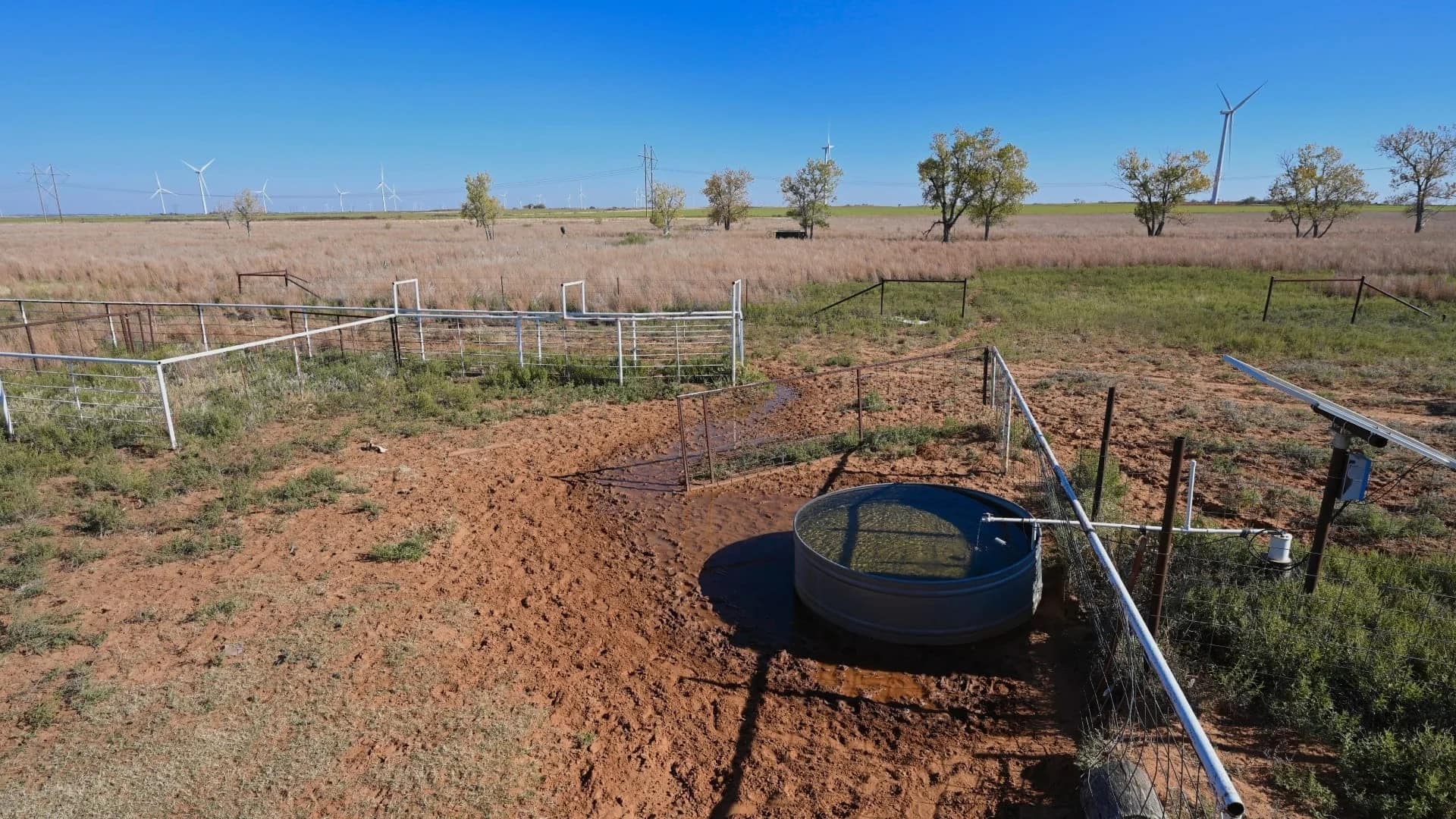 Wilbarger County Texas land with native grass pasture