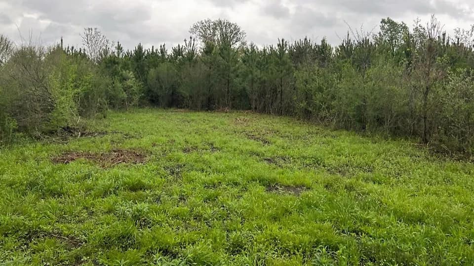 12.62 acre ranch in Red River County, Texas
