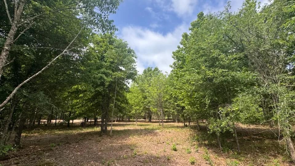 3.54 acre undeveloped land in Red River County, Texas