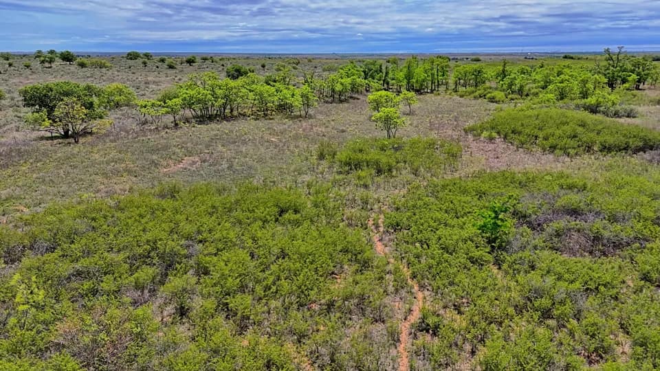 106.7 acre recreational land in Hardeman County, Texas