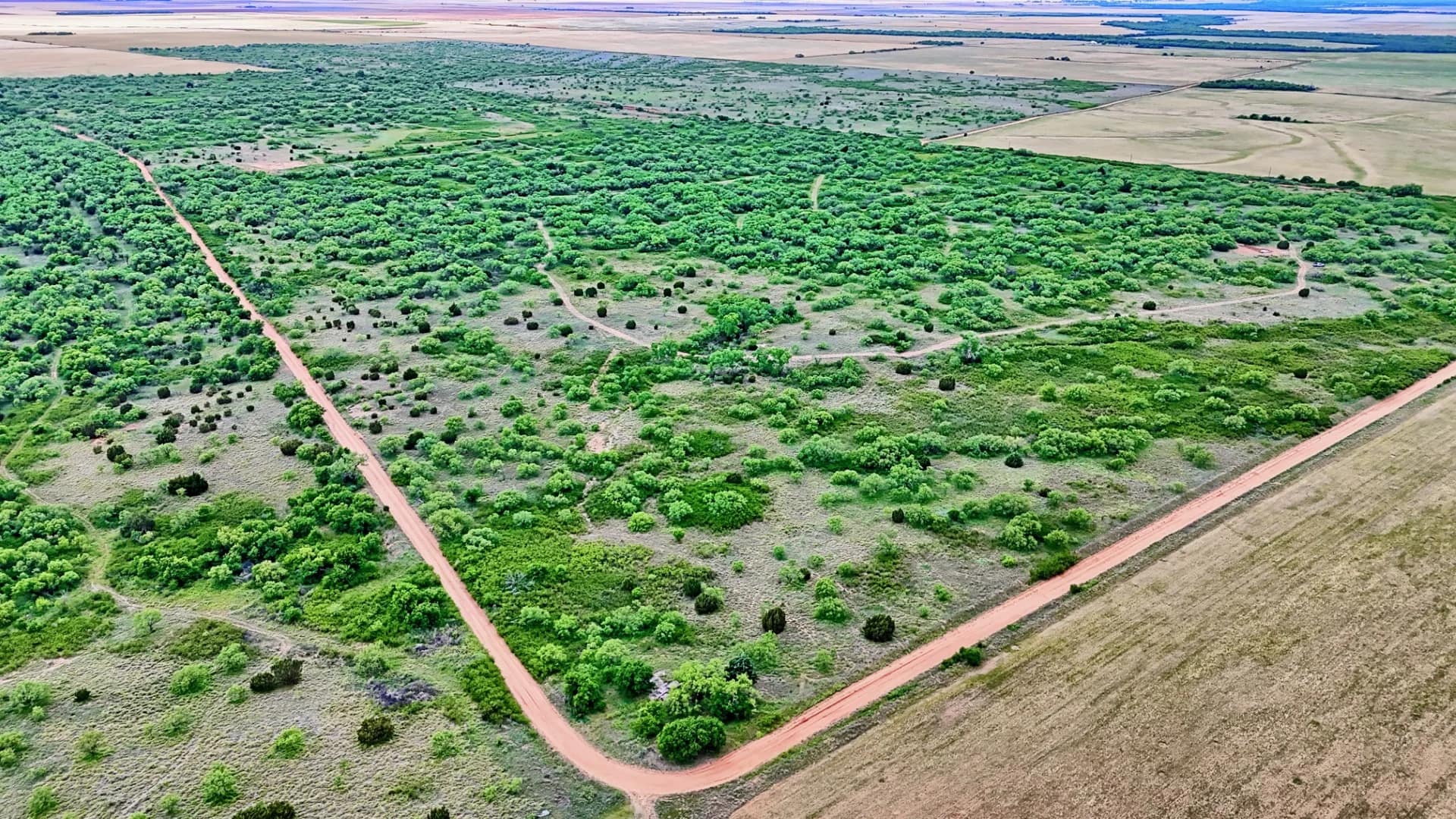 Knox County Texas land with native grass pasture