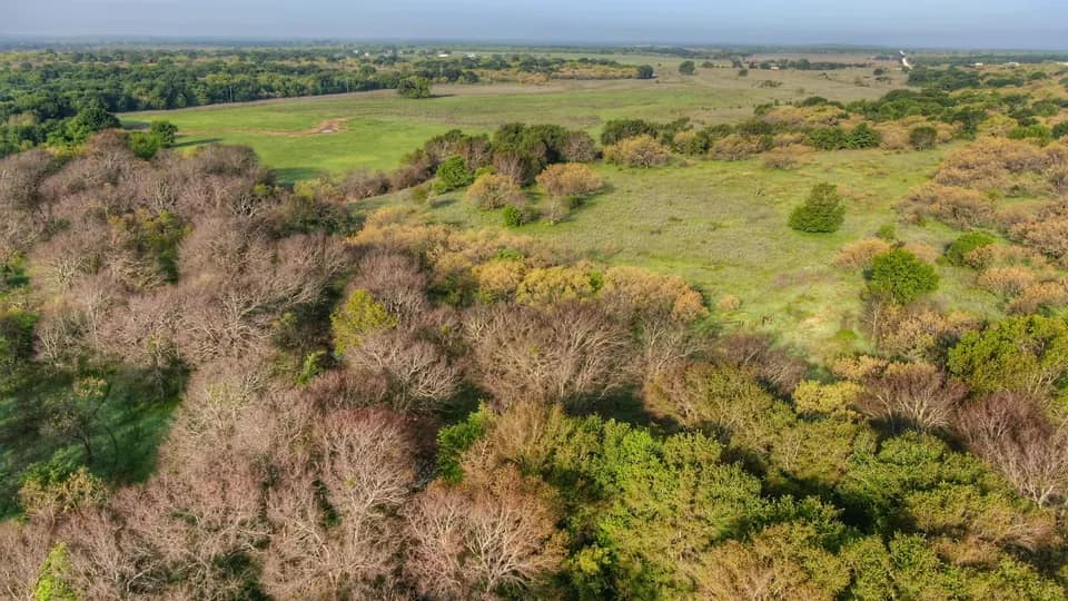 1,203 acre farm in Young County, Texas