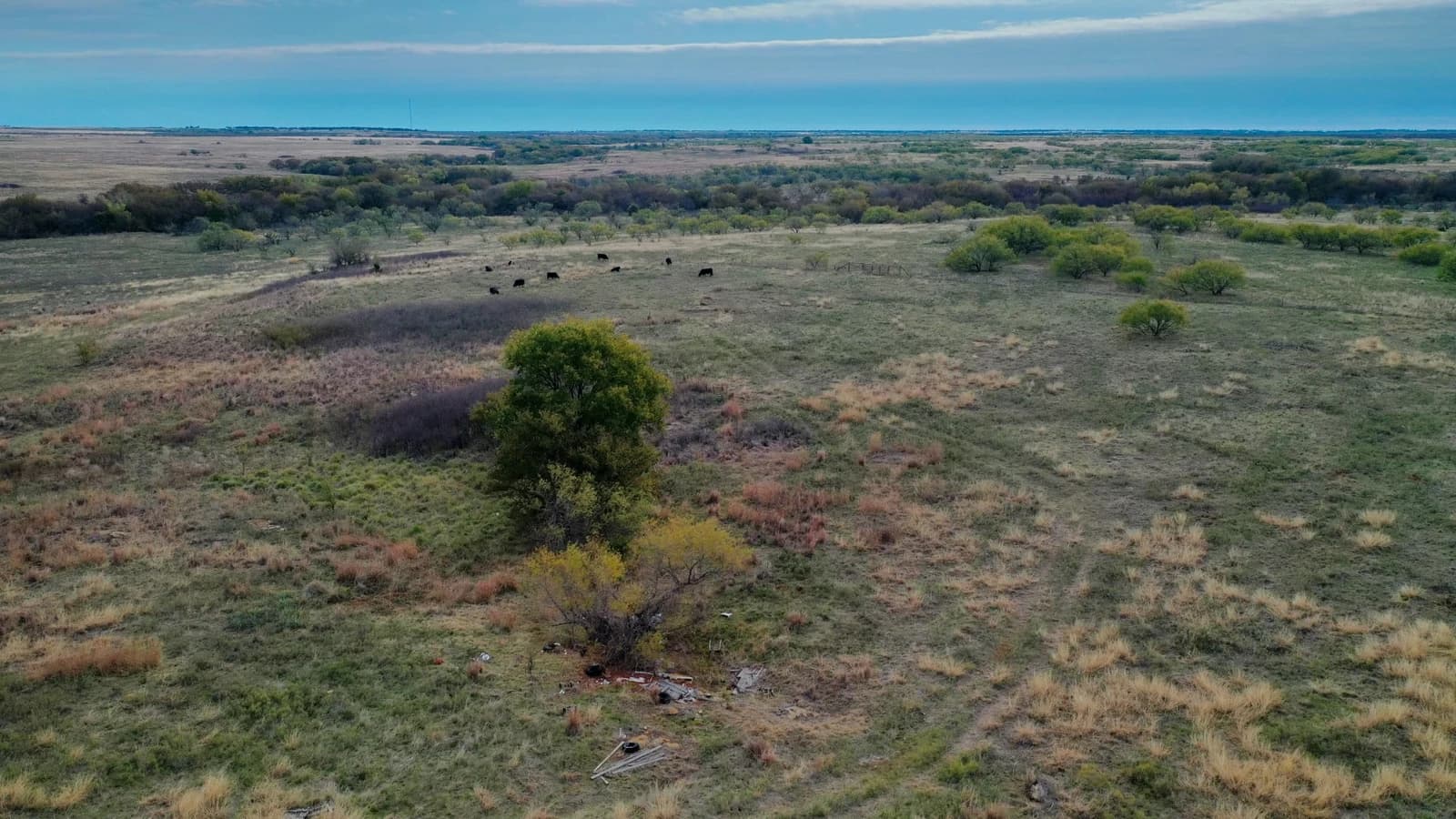 Managing a Ranch in Texas