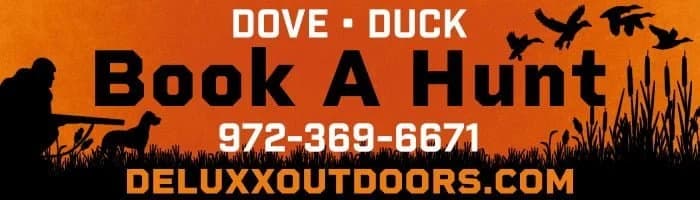 Texas Dove Hunting