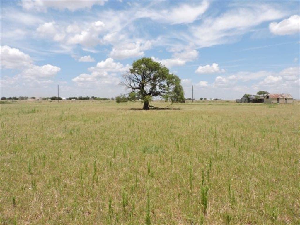 Overview of 102 acre farm in Knox County, Texas