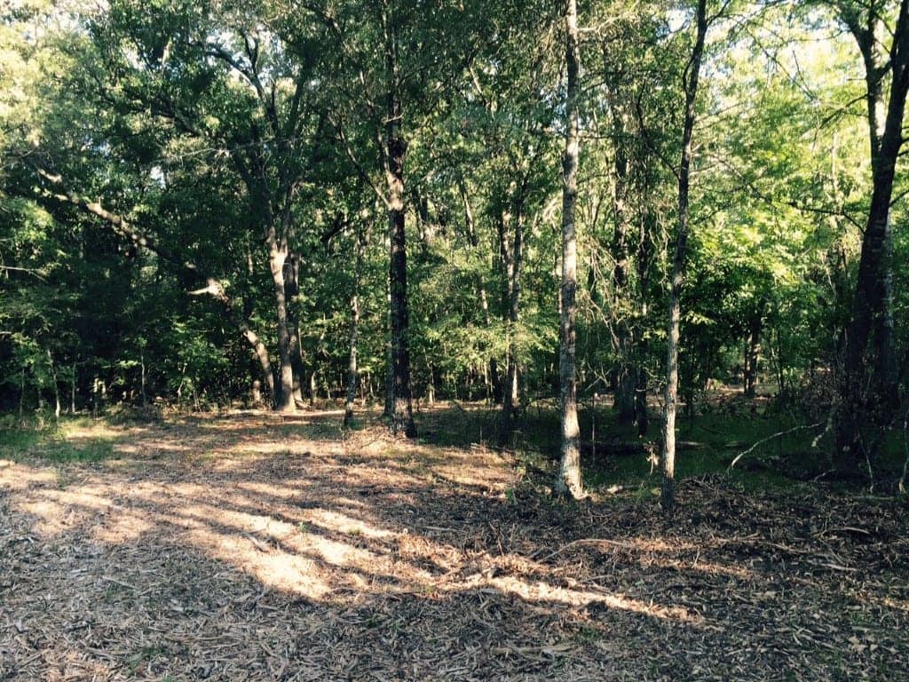 137.06 acre ranch in Red River County, Texas