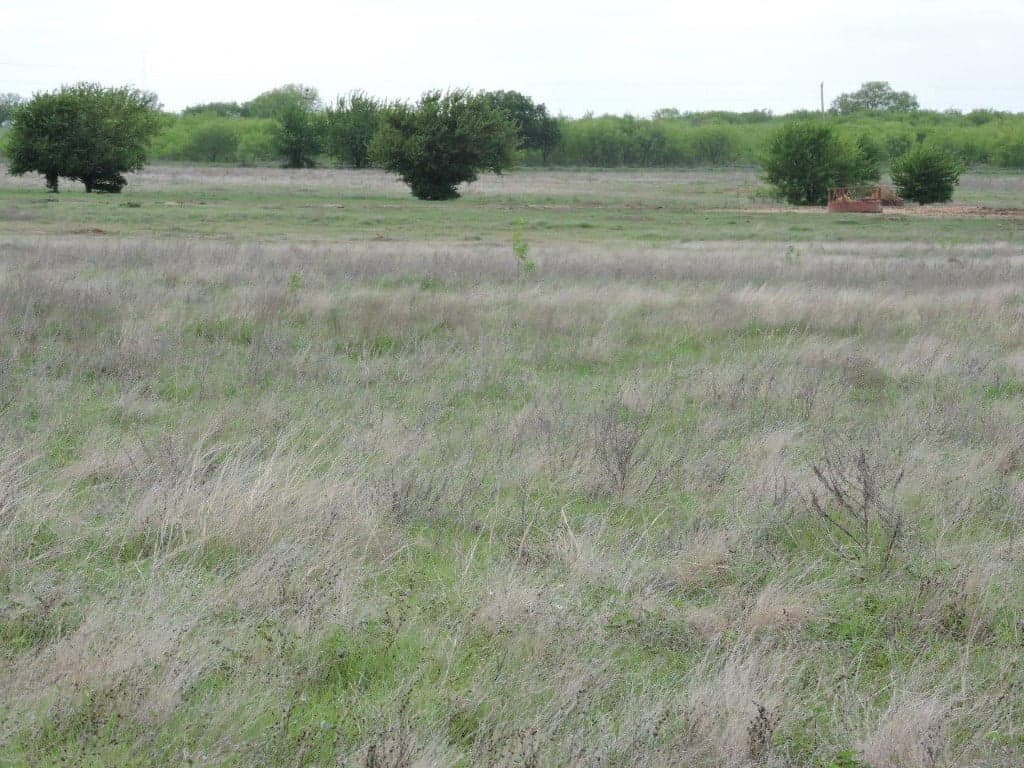 Overview of 50 acre ranch in Clay County, Texas