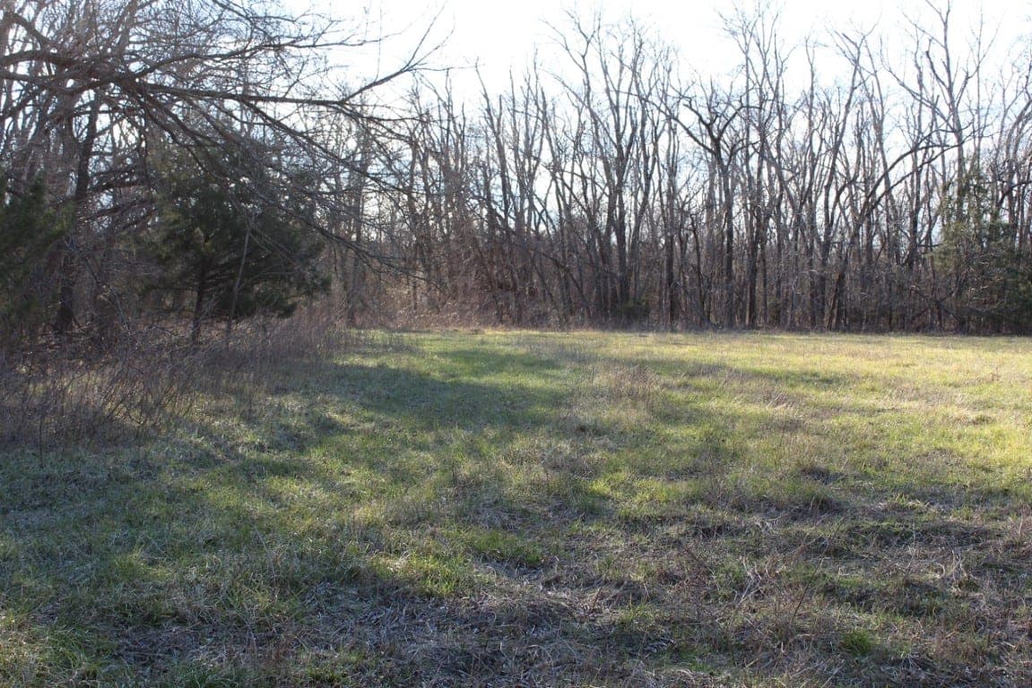 Overview of 245.84 acre timberland in Lamar County, Texas