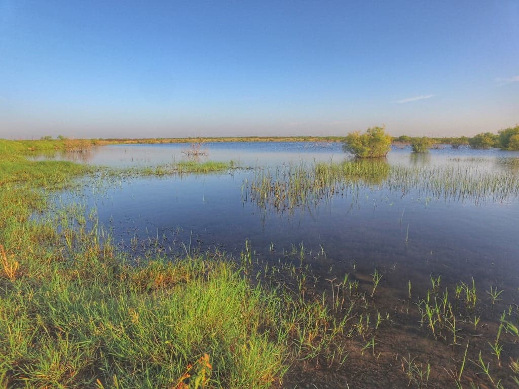 Overview of 602 acre hunting land in Wichita County, Texas