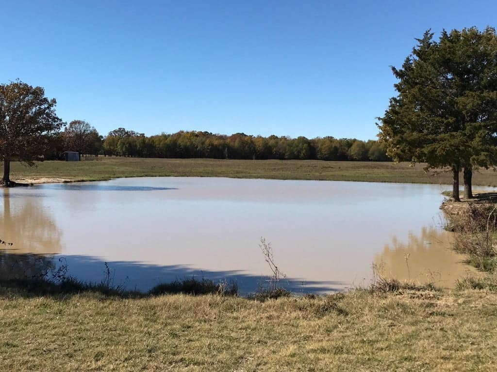 94.18 acre timberland in Franklin County, Texas